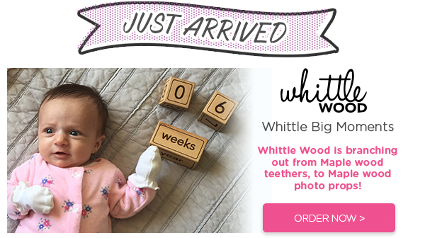 Whittle Wood, Whittle Big Moments Blocks